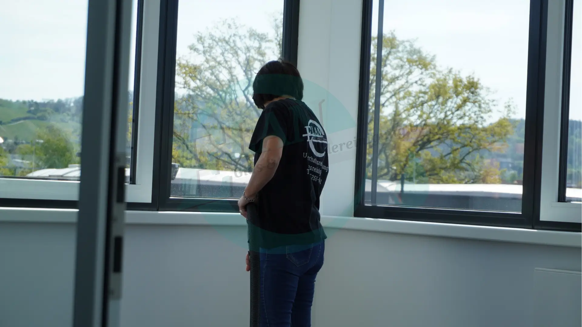 Elan Gebäudereinigung Hirschberg Teppichreinigung