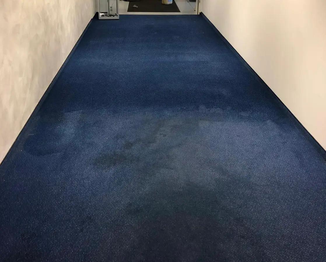 Teppichreinigung in Bensheim